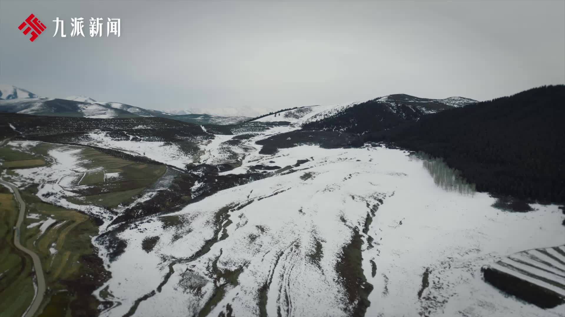 王晨正变形十年后：是爷爷改变了我，他用一筐土豆换我而后人生坦途