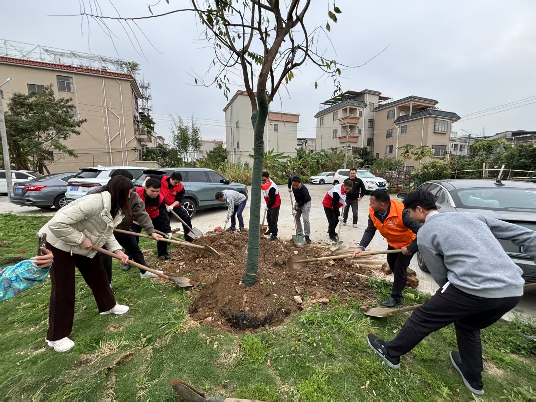 平安产险佛山分公司:“党建引领绿美建设 共建共享生态家园”植树活动圆满举行