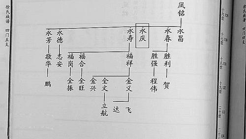 徐胜强提供的徐氏家谱。