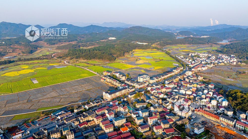 2025年3月19日在江西省吉安市峡江县砚溪镇拍摄。