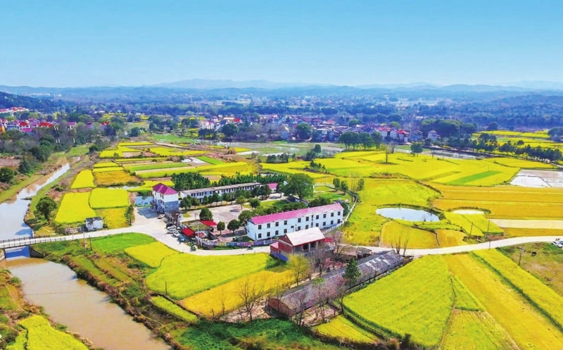 吉安：醉春光（图）