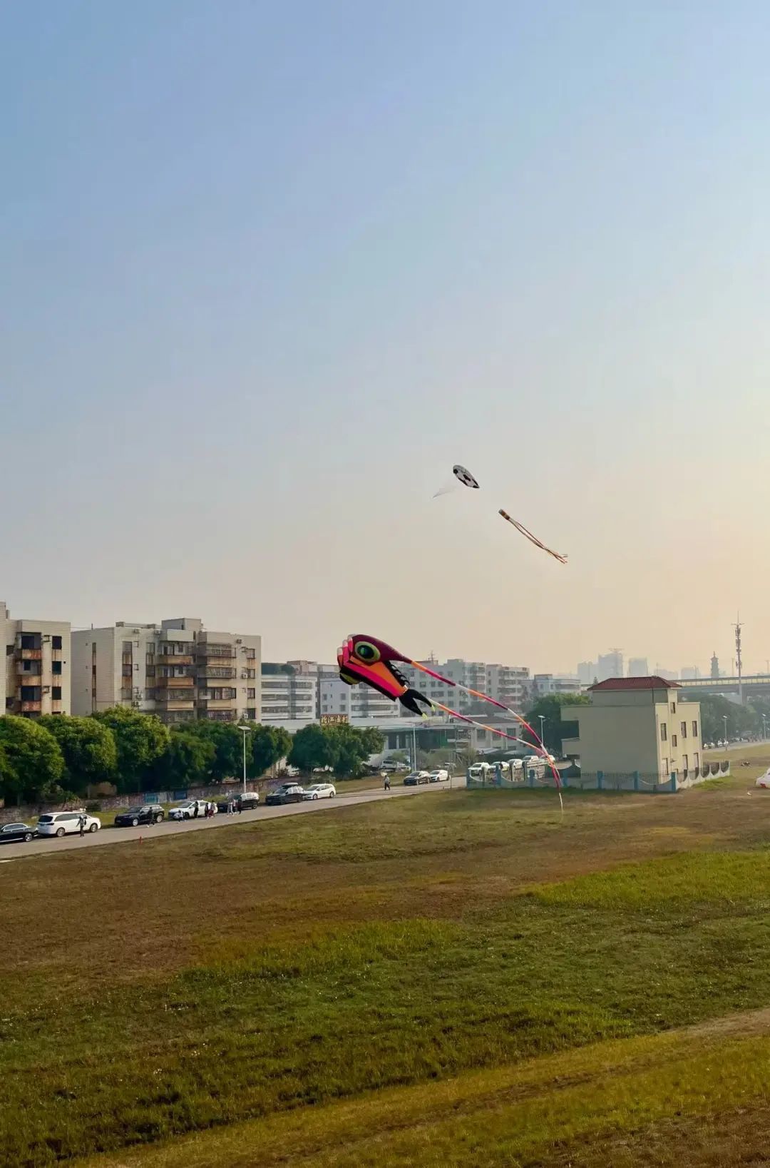 巨型风筝“遨游”天空。佛山市新闻传媒中心记者何艳纯摄