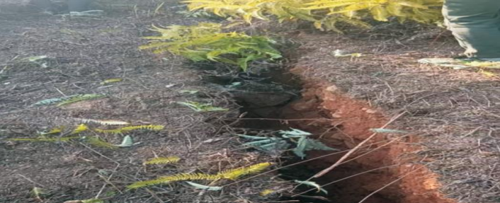 螺田村地面裂缝