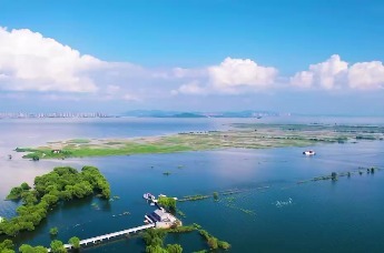第四届湖南旅发大会 | 光影赤子心：柳庆年镜头下的岳阳情怀