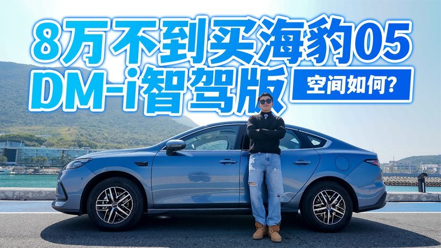 8万不到买海豹05DM-i智驾版，空间如何？
