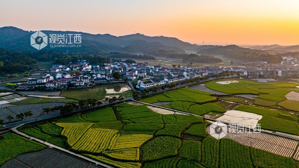 2025年3月19日在江西省吉安市峡江县砚溪镇拍摄。