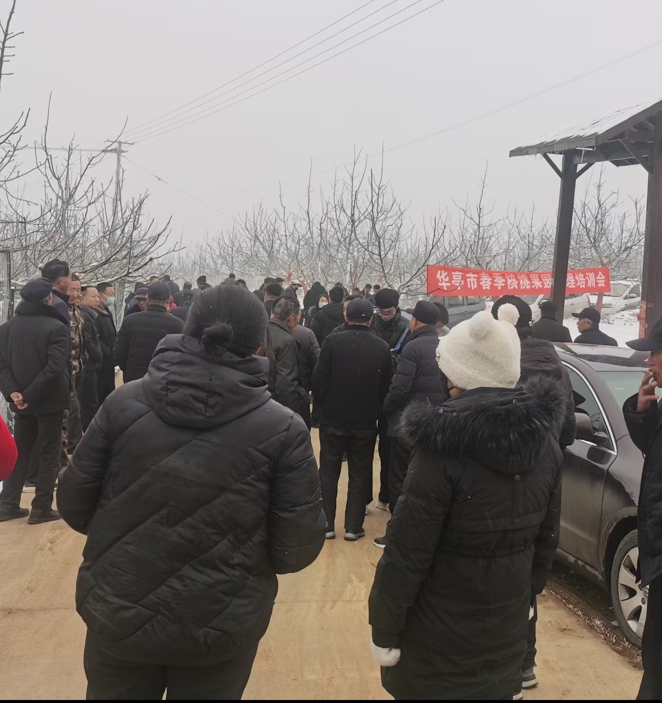 人勤不负春　华亭核桃管护忙