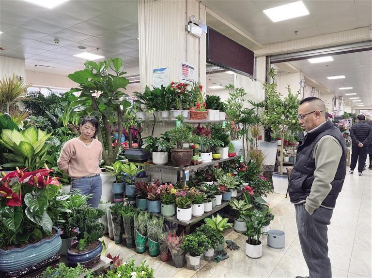 市民在挑选花卉