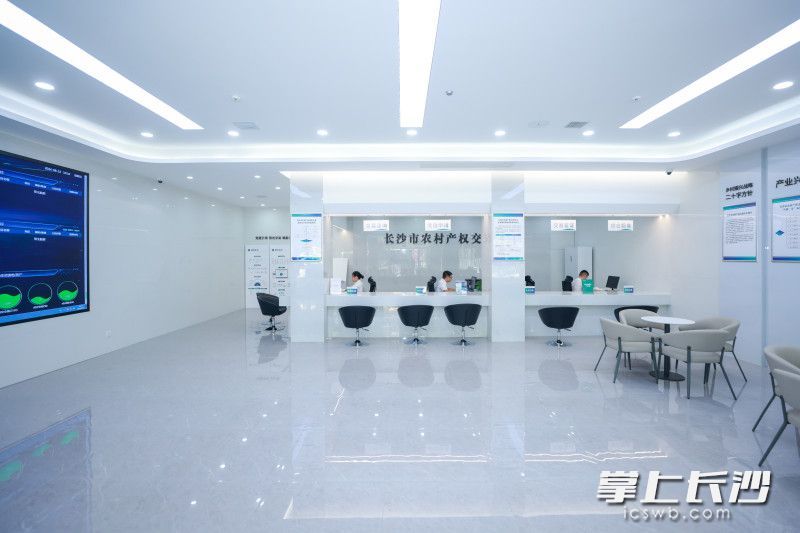 长沙市农村产权交易中心。长沙晚报通讯员 张颜 供图