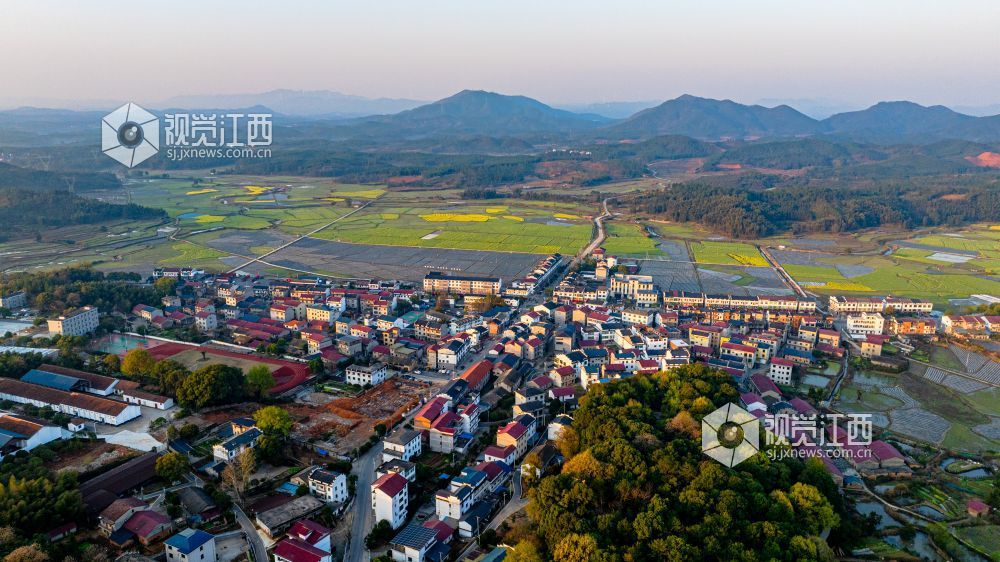 2025年3月19日在江西省吉安市峡江县砚溪镇拍摄。