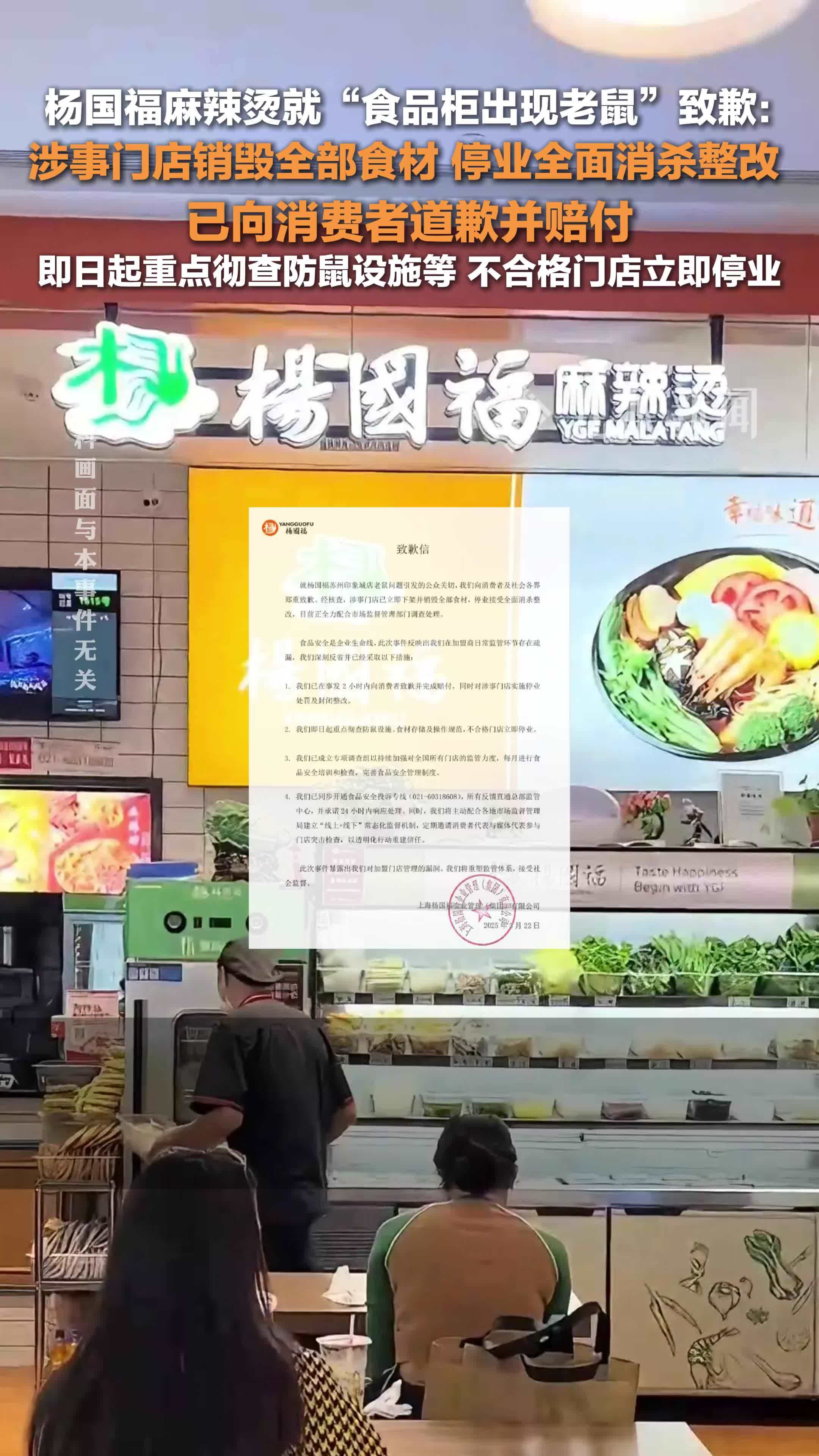 杨国福麻辣烫就出现老鼠致歉：涉事门店已销毁全部食材，停业全面消杀整改