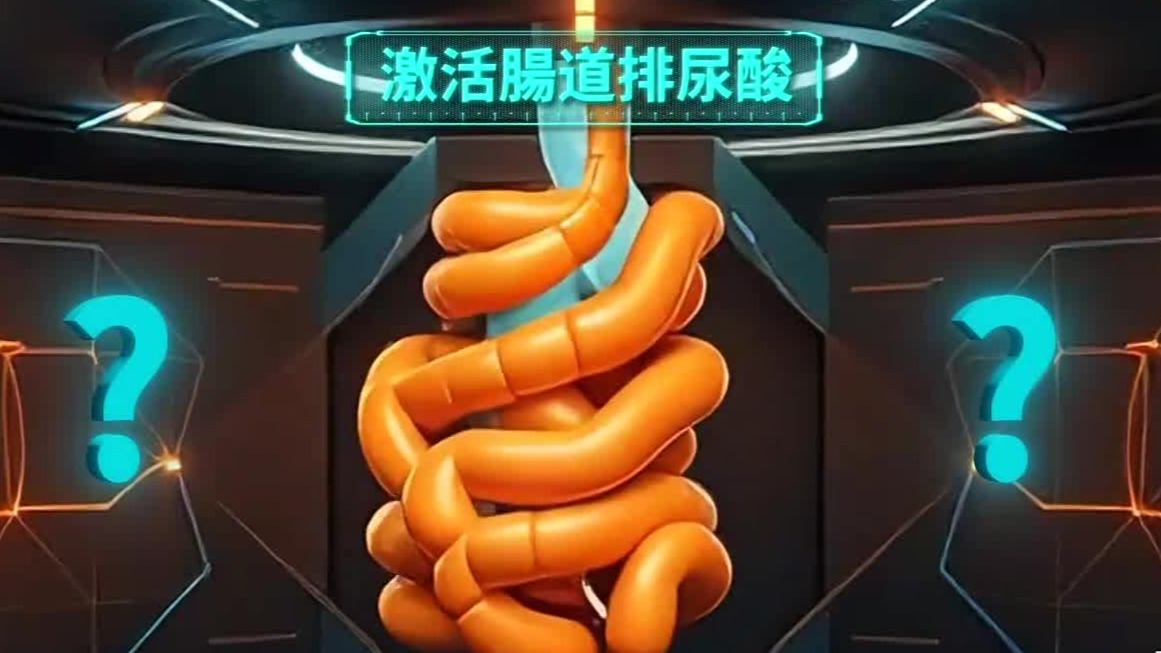 如何激活肠道，排出体内20%-30%的尿酸？这两种营养物质我们非常熟悉