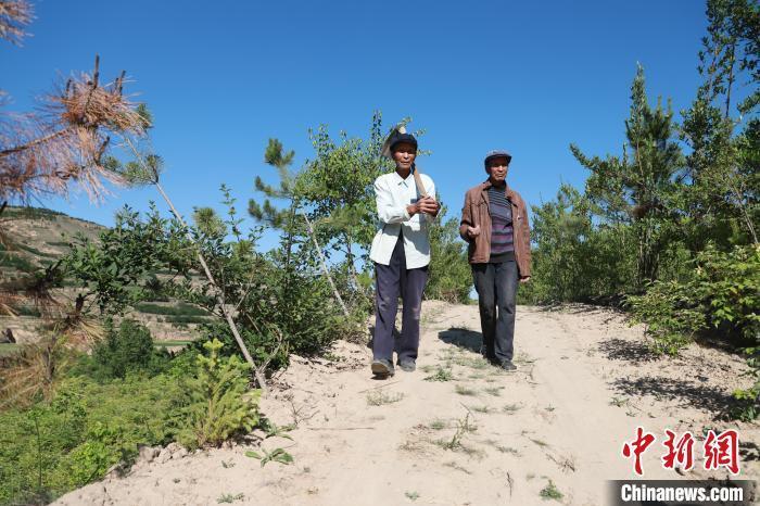 6月上旬，“刚强兄弟”行走在少年时梦想中的“绿水青山”中。甘肃省林业和草原局供图