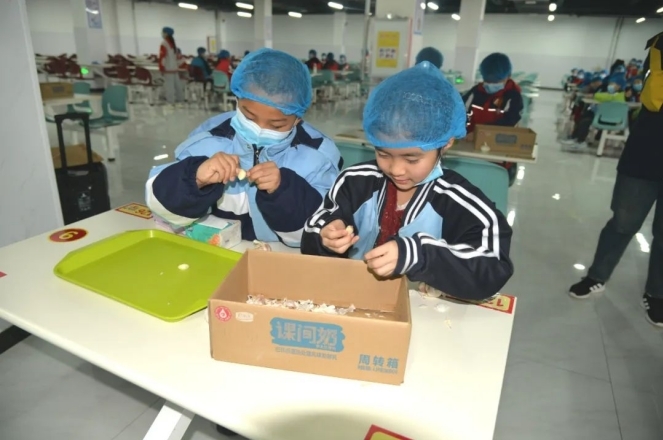 宁晋县举办首届小学生生活技能竞赛