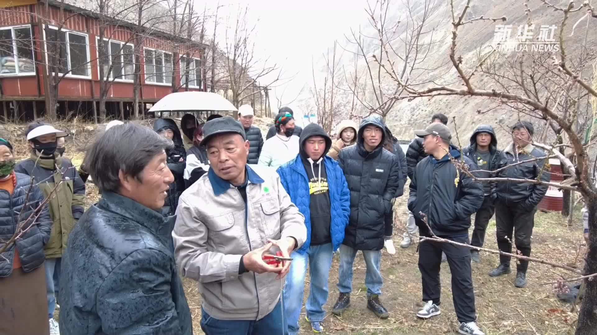 西藏八宿：开展种植技能培训 助力群众增收致富
