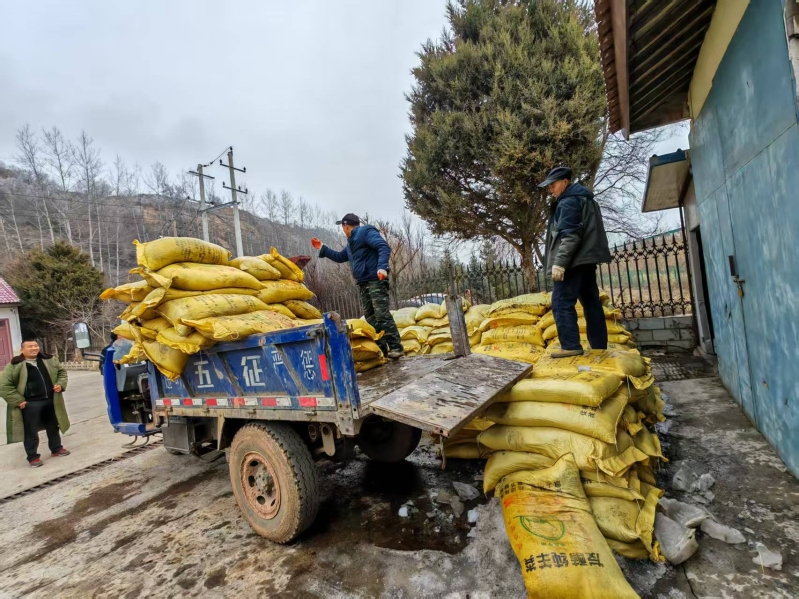 摸清家底对症下药　华亭果园管护忙
