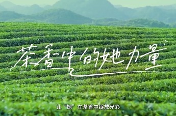 以文艺之笔 绘人口发展新画卷：微短剧《茶香她力量》