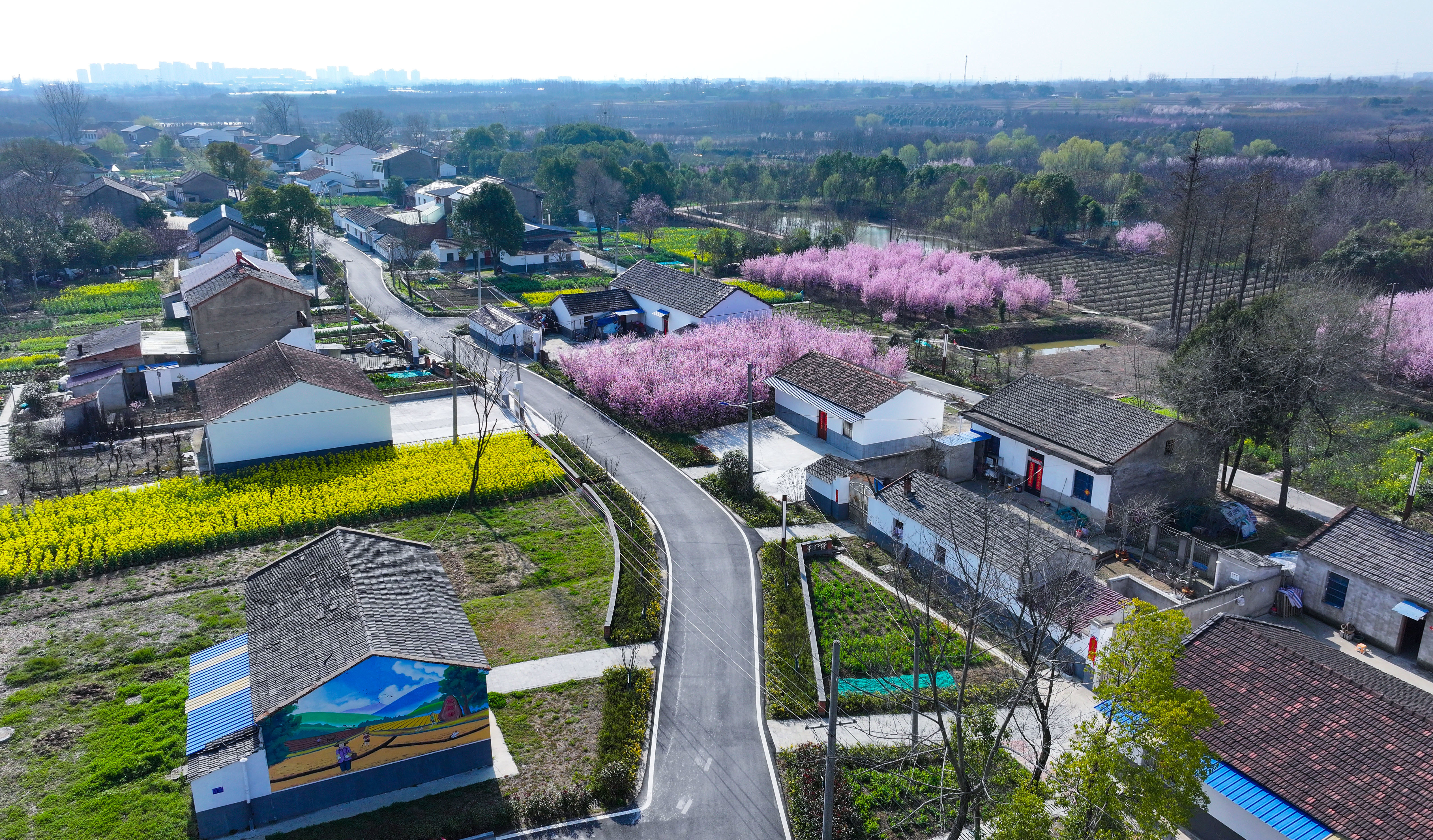 图7.2025年3月18日拍摄的安徽省合肥市肥西县丰乐镇大圩村美景（无人机照片）。