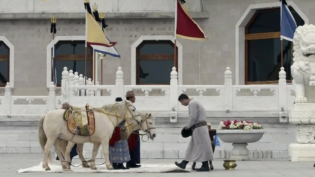 不能供人驱使与骑乘，溜圆白骏在灵榇内为何拥有崇高的地位？