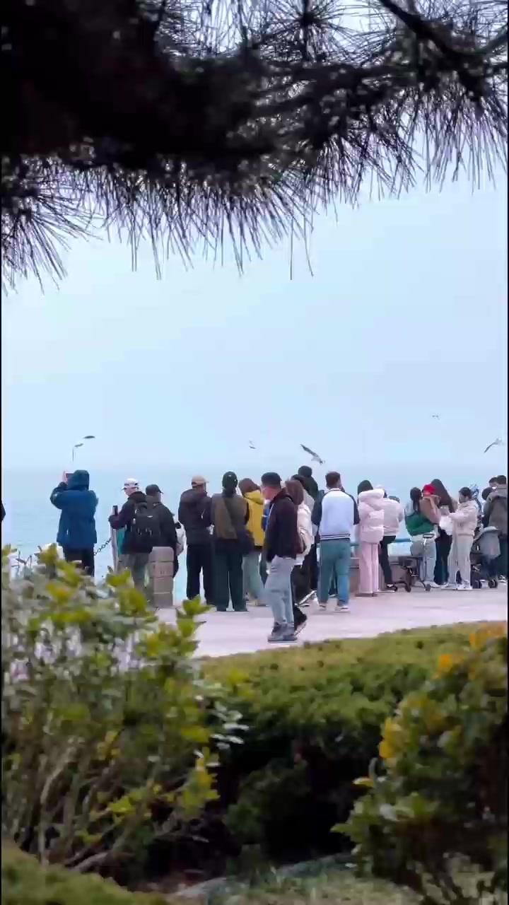 凤凰视频|海边一隅 把闲暇揉进书页里