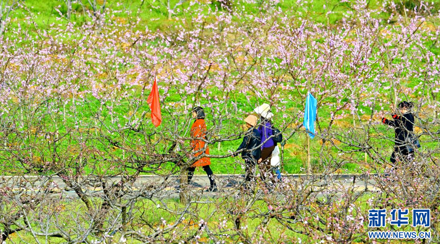 游人们在桃花园内踏春赏花。新华网发 宋建明 摄