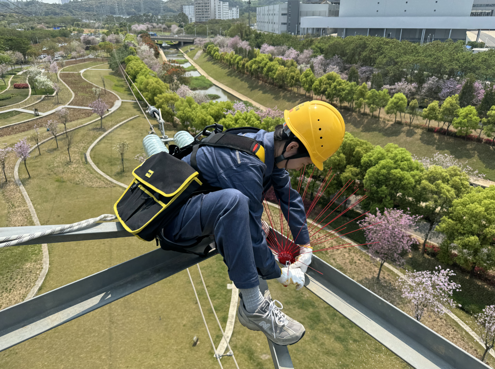 （南方电网深圳供电局输电管理所“女将”钱懿如正在杆塔上固定防鸟刺装置）