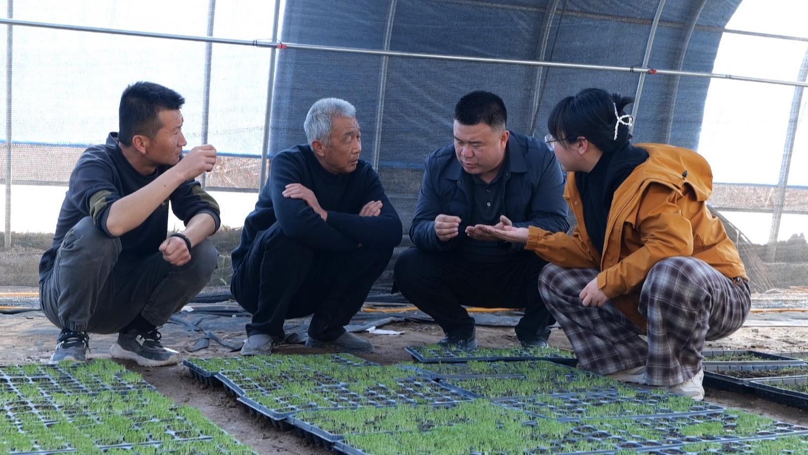 科技滴灌润沃野　永昌田间地头结出“智慧果”