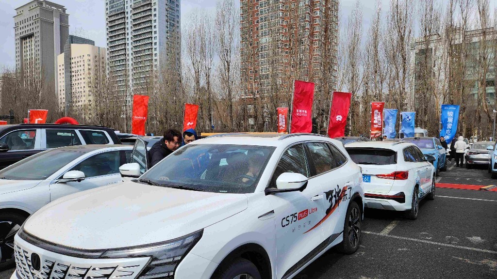 市民选购汽车