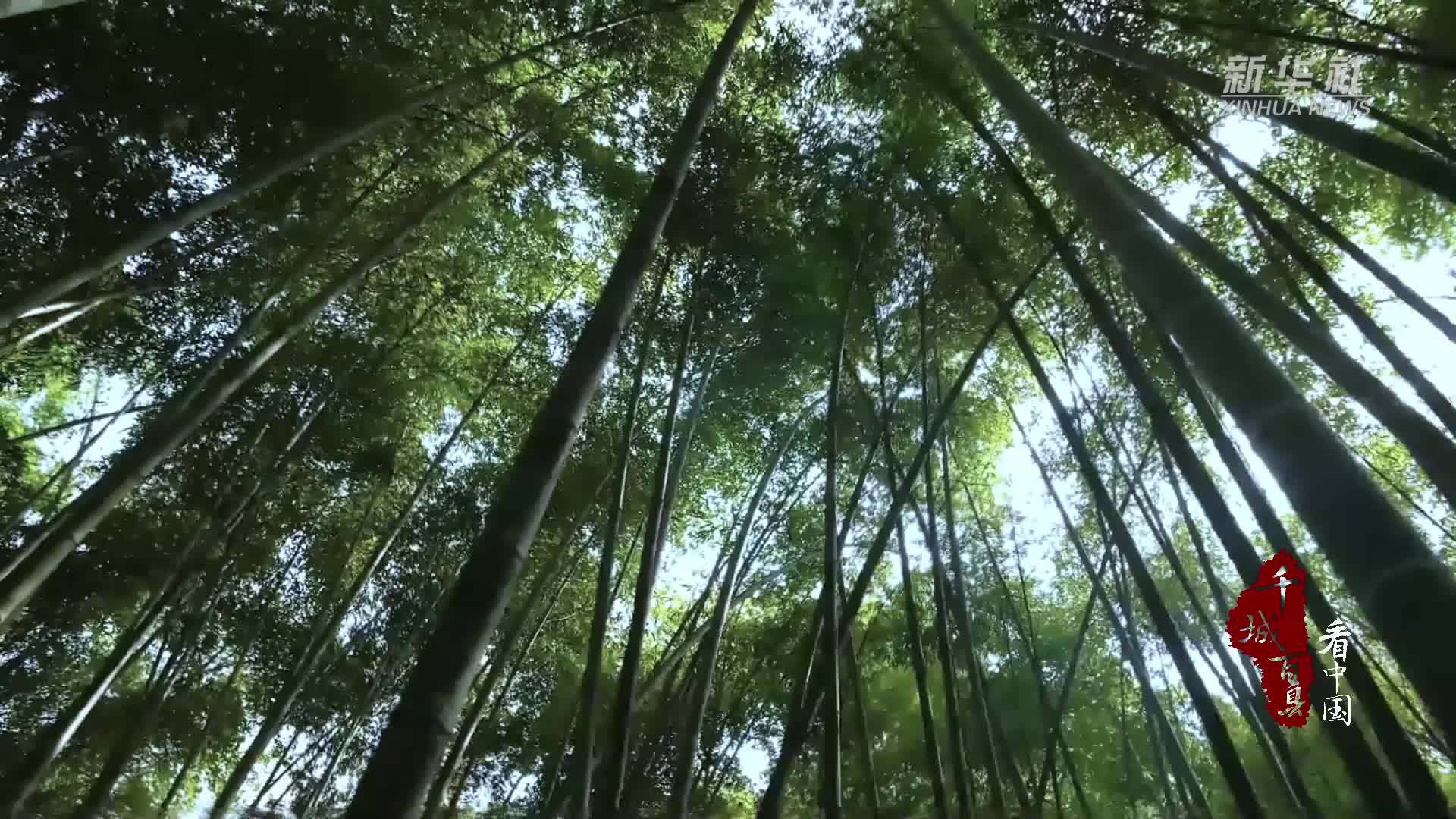 千城百县看中国｜福建长泰：巧手编织“竹世界”