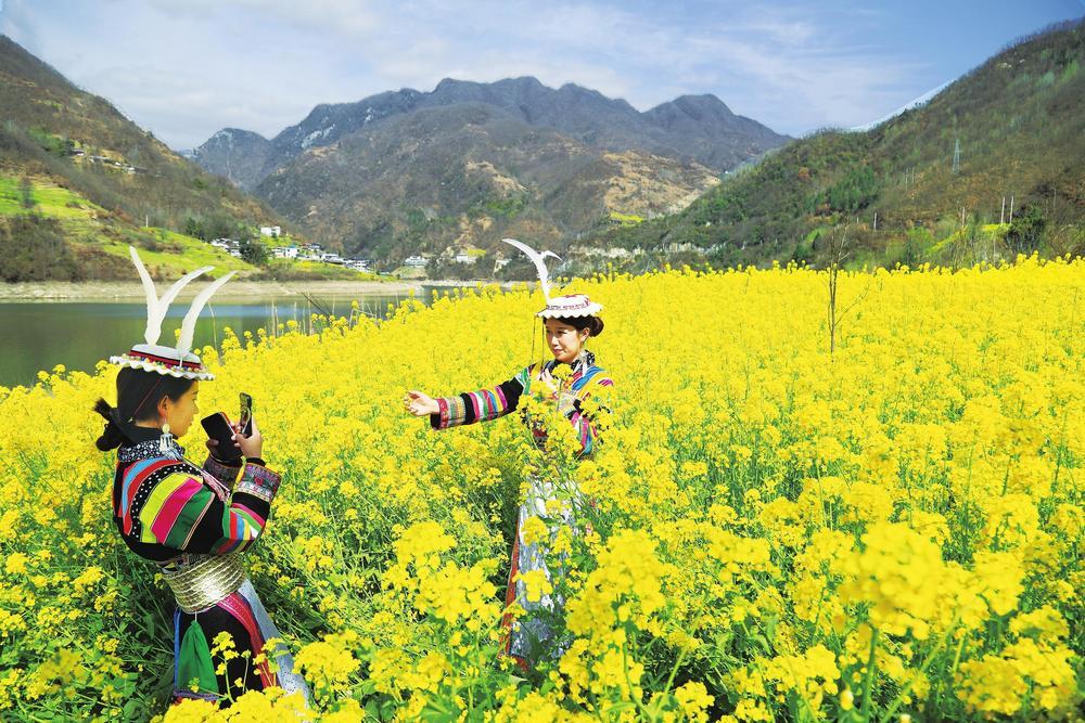 春日时光，文县组织开展了“踏青赏花、品尝春茶”助农乡村游系列活动。