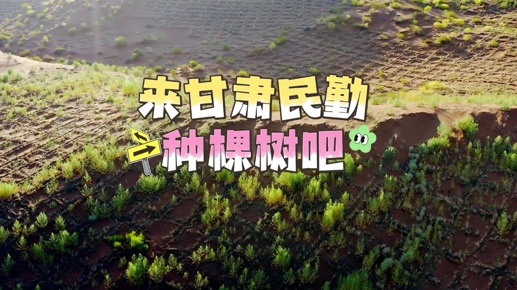 朱军邀您相约甘肃民勤　“益”起种梭梭