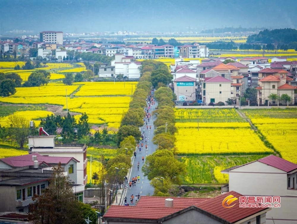 2025南昌安义半程马拉松开跑（图）
