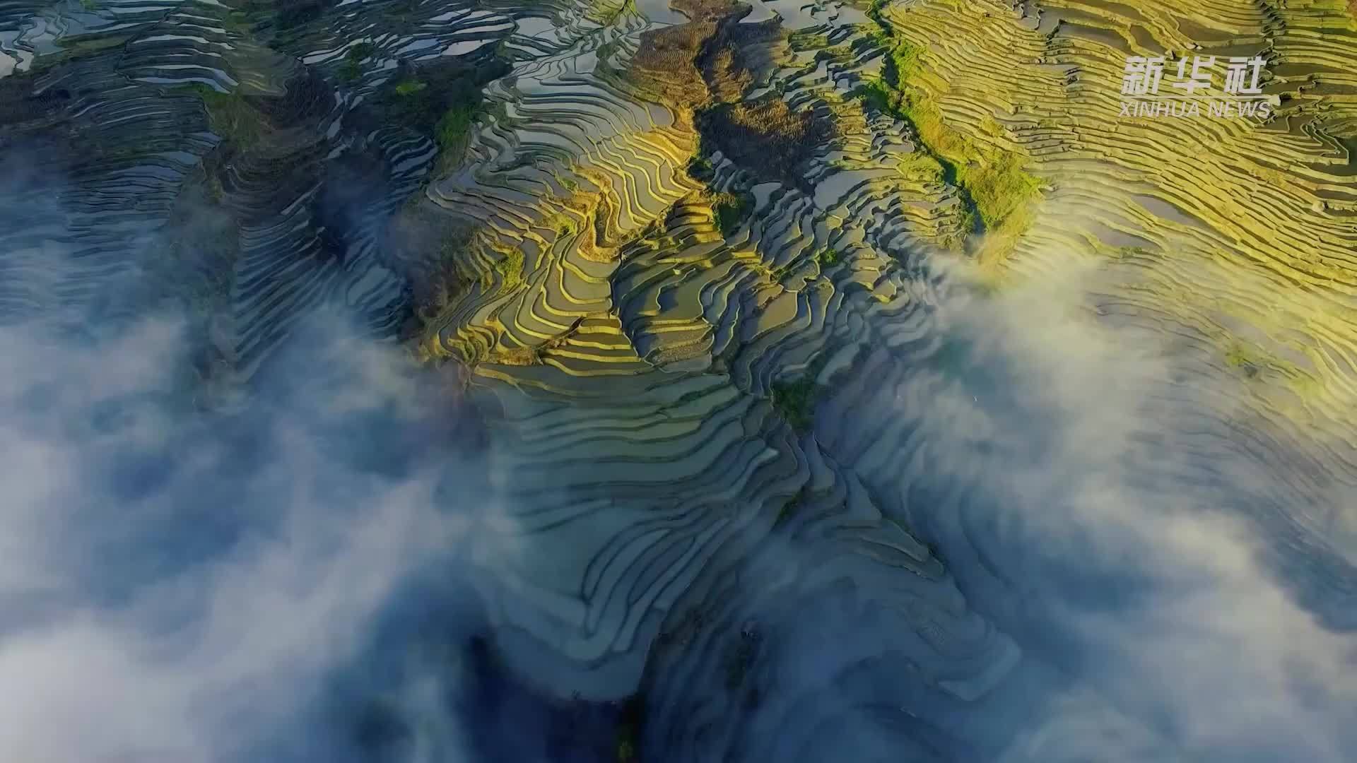 世界遗产地红河哈尼梯田景区全域旅游景点充电桩全覆盖
