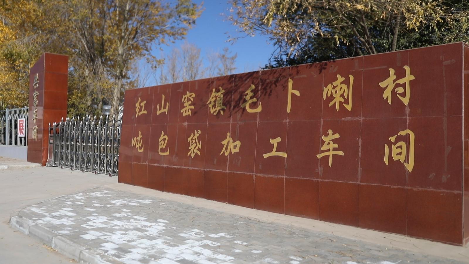 链主龙头企业“带飞”乡村　永昌开启城乡融合新生态