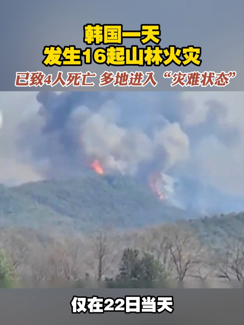 韩国一天发生16起山林火灾 已致4人死亡 多地进入“灾难状态”#韩国  #火灾