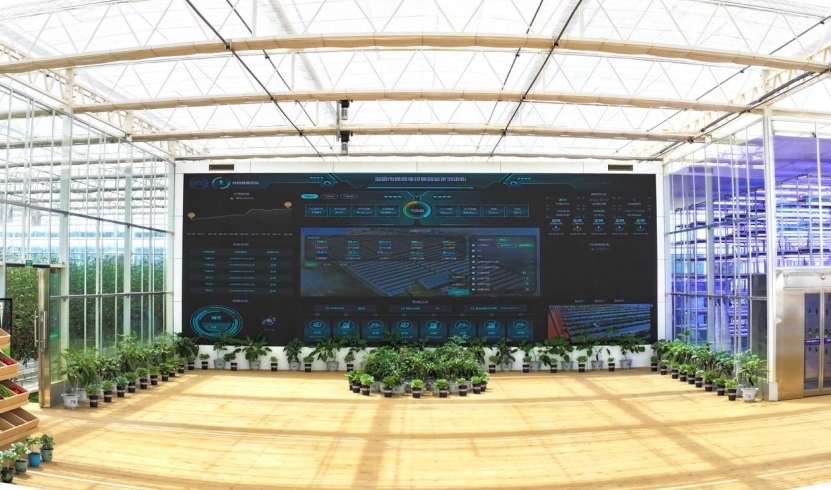 瑞昌市高标准设施蔬菜示范中心。(魏东升摄)