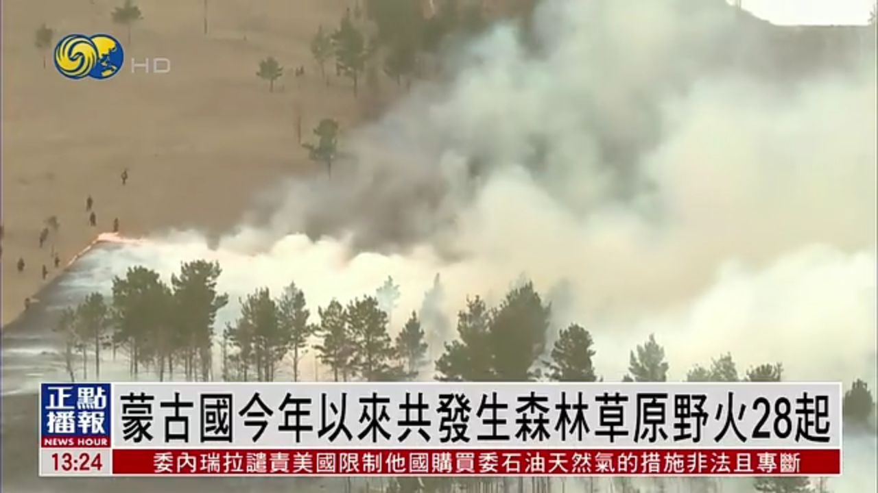 蒙古国今年以来共发生森林草原野火28起