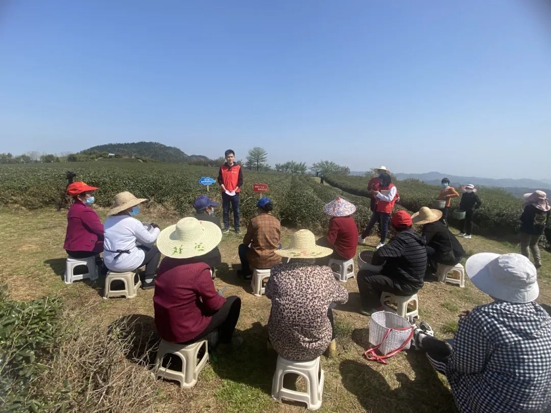 2022年4月8日余姚市“舜江青语”理论宣讲联盟青年宣讲员开展“岚山茶园话共富”主题宣讲活动.jpg