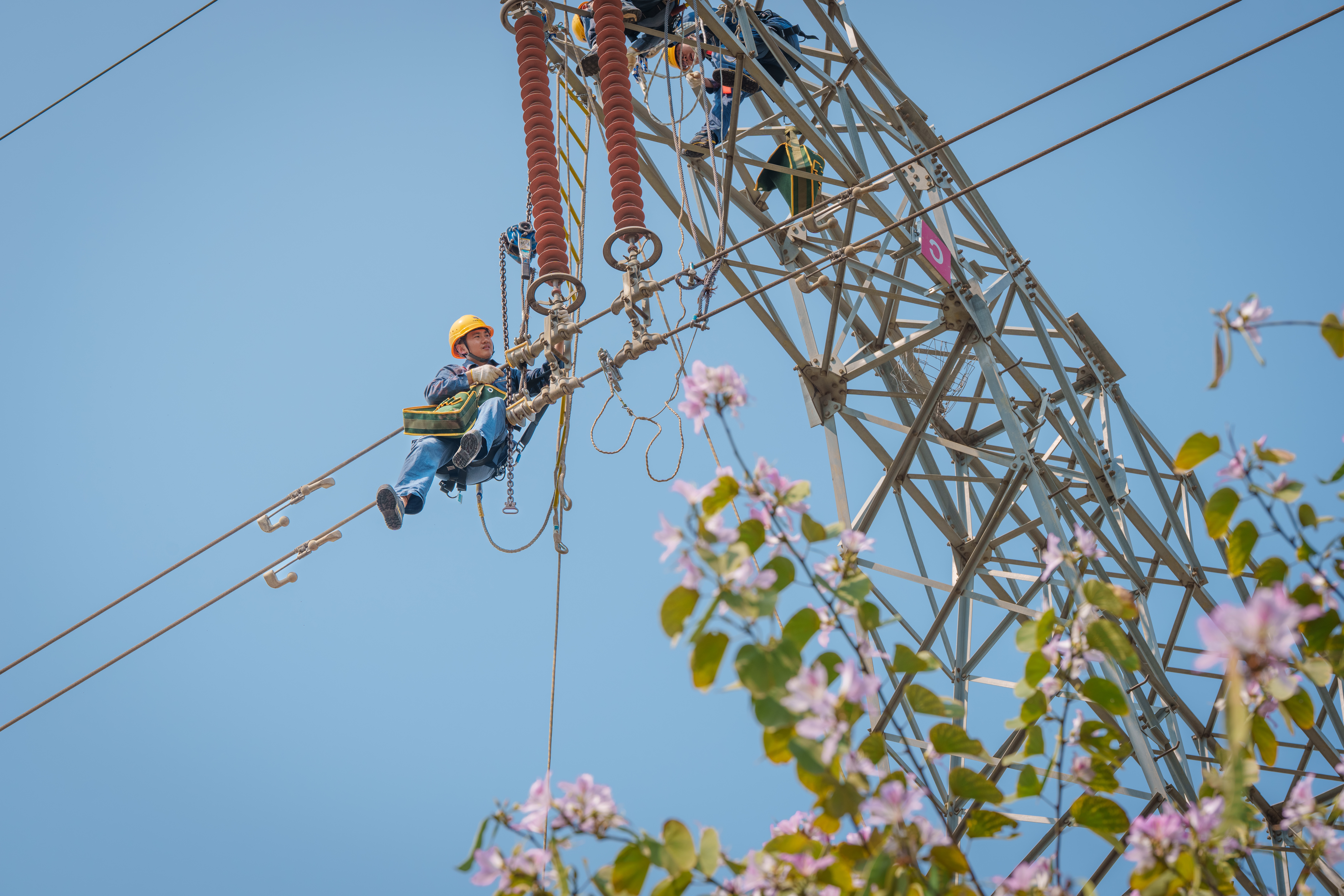 （南方电网深圳供电局输电管理所检修人员正在对杆塔进行老化绝缘子更换工作）
