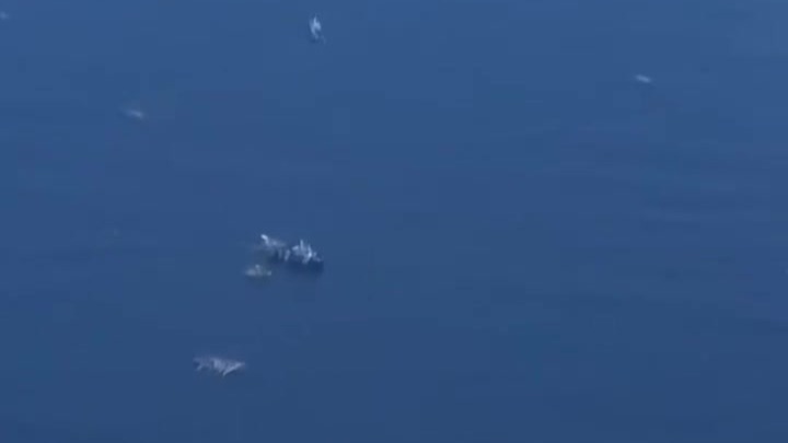 现场：菲船队欲闯黄岩岛海域，被5艘中国海警船和6艘渔船包围