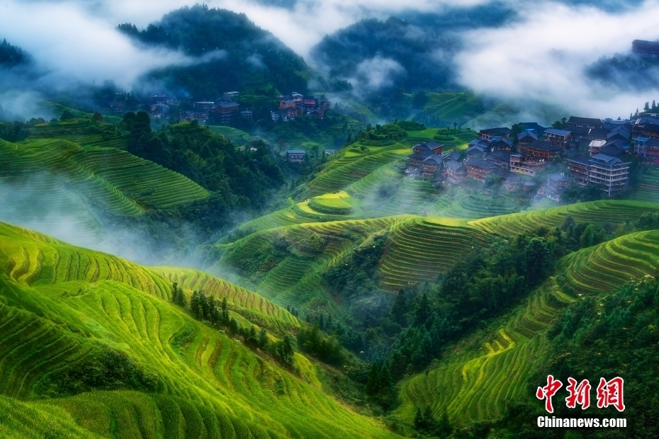 【这个城市有点潮】广西龙胜:美出层次!在“世界梯田原乡”感受独特民族风情