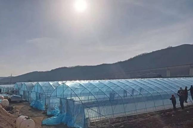 华亭90座大棚穿“新衣”　土地秒变“绿色银行”