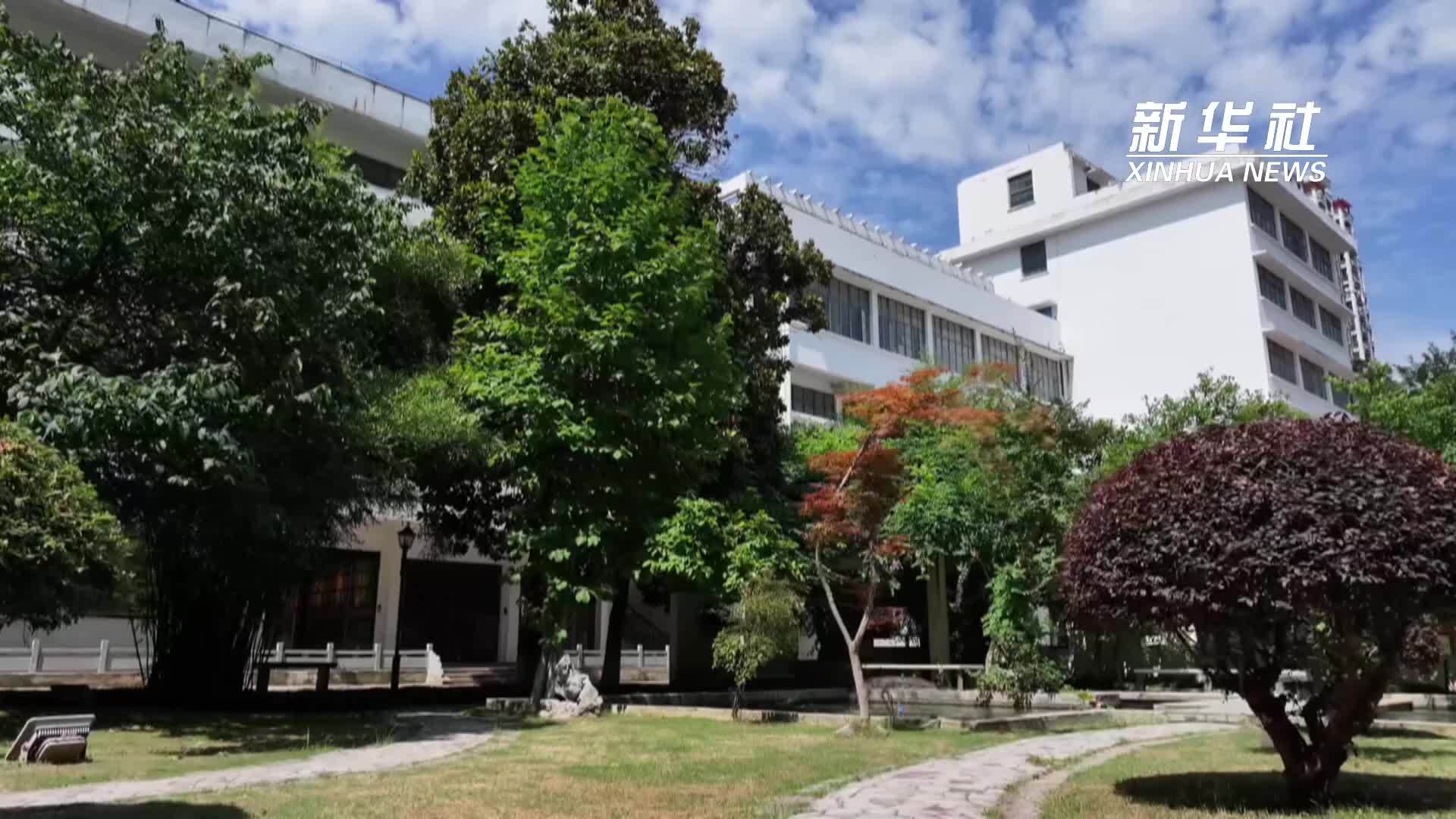 芜湖铁画：铁片变“羽毛”的神奇非遗