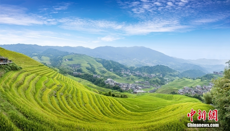 【这个城市有点潮】广西龙胜:美出层次!在“世界梯田原乡”感受独特民族风情