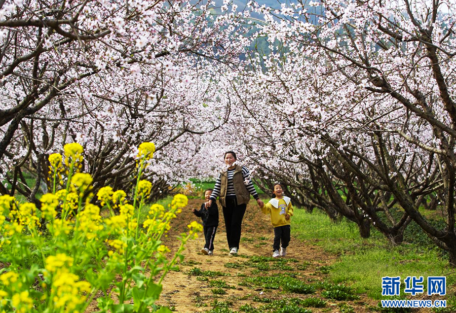 3月23日，河南省驻马店市确山县任店镇蚂蚁山上，桃花竞相绽放，游客在赏花踏春。