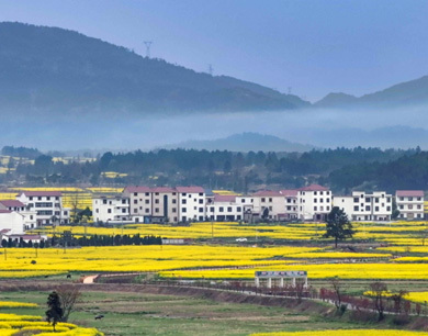 安义古村春景