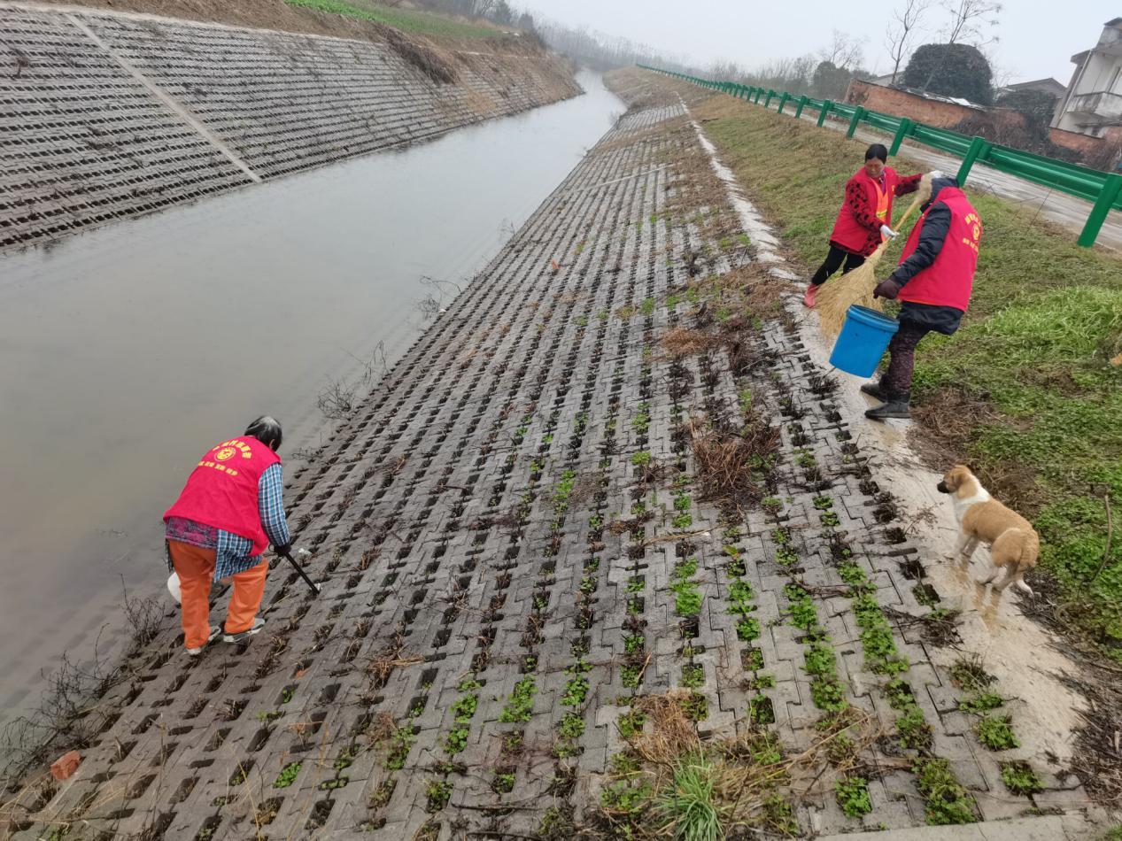 此图为公众参与河道水体治理现场
