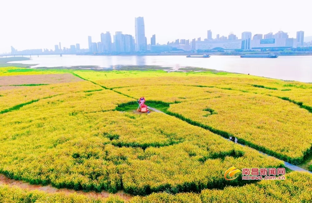 南昌：大美春日画卷（图）