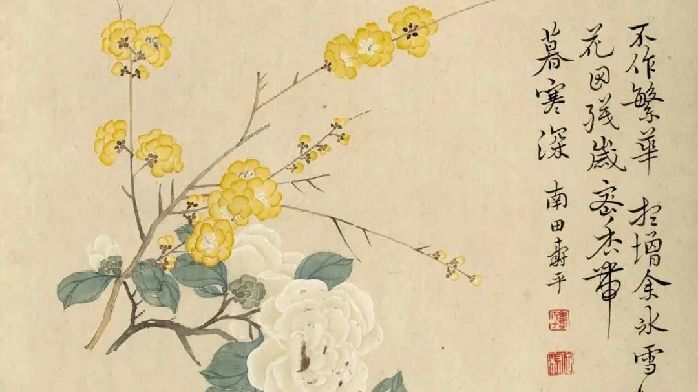 恽寿平:花果秋艳图_凤凰网