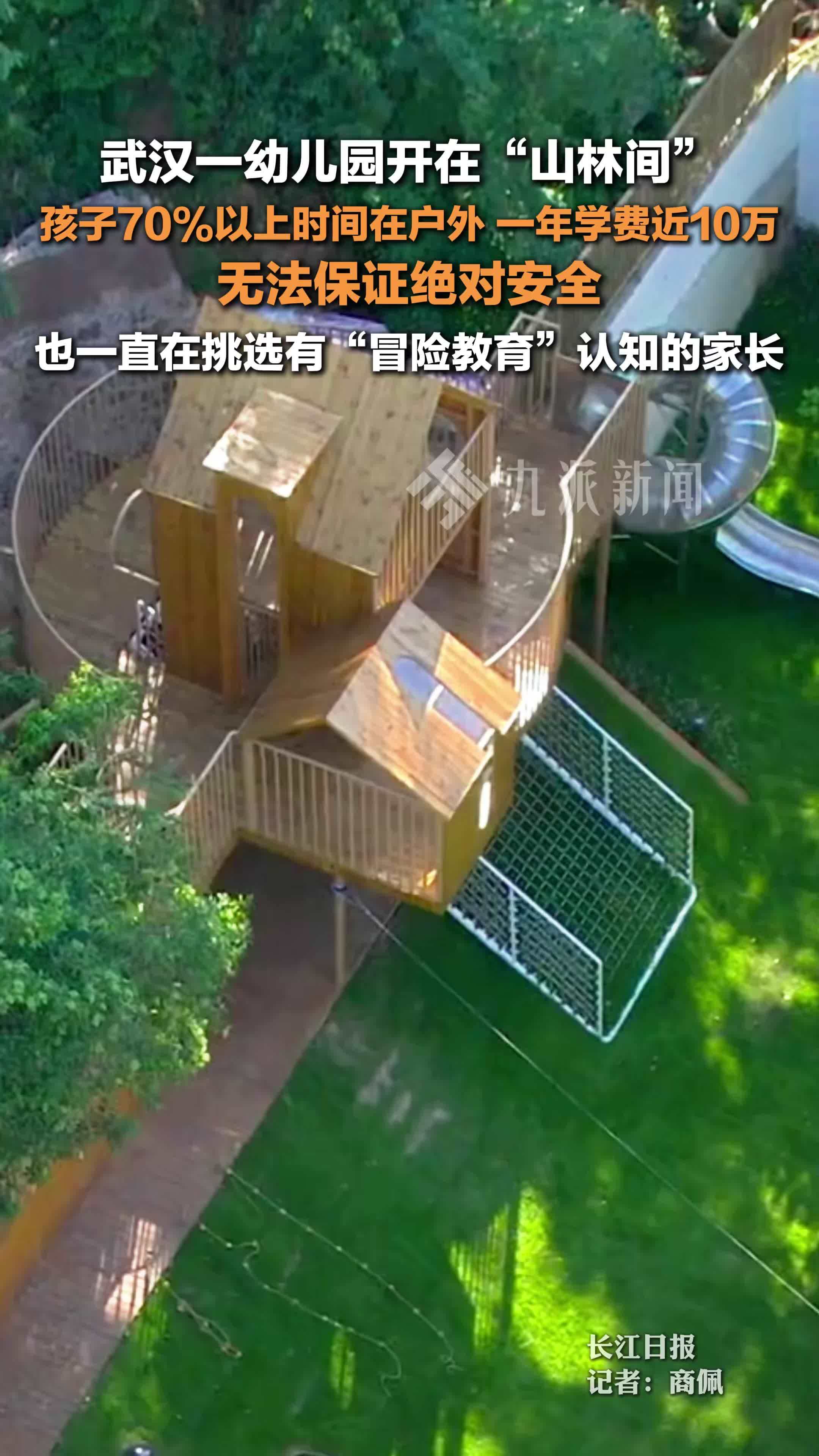 开在山林间的幼儿园一年学费10万 ：70%以上时间在户外，无法保证绝对安全